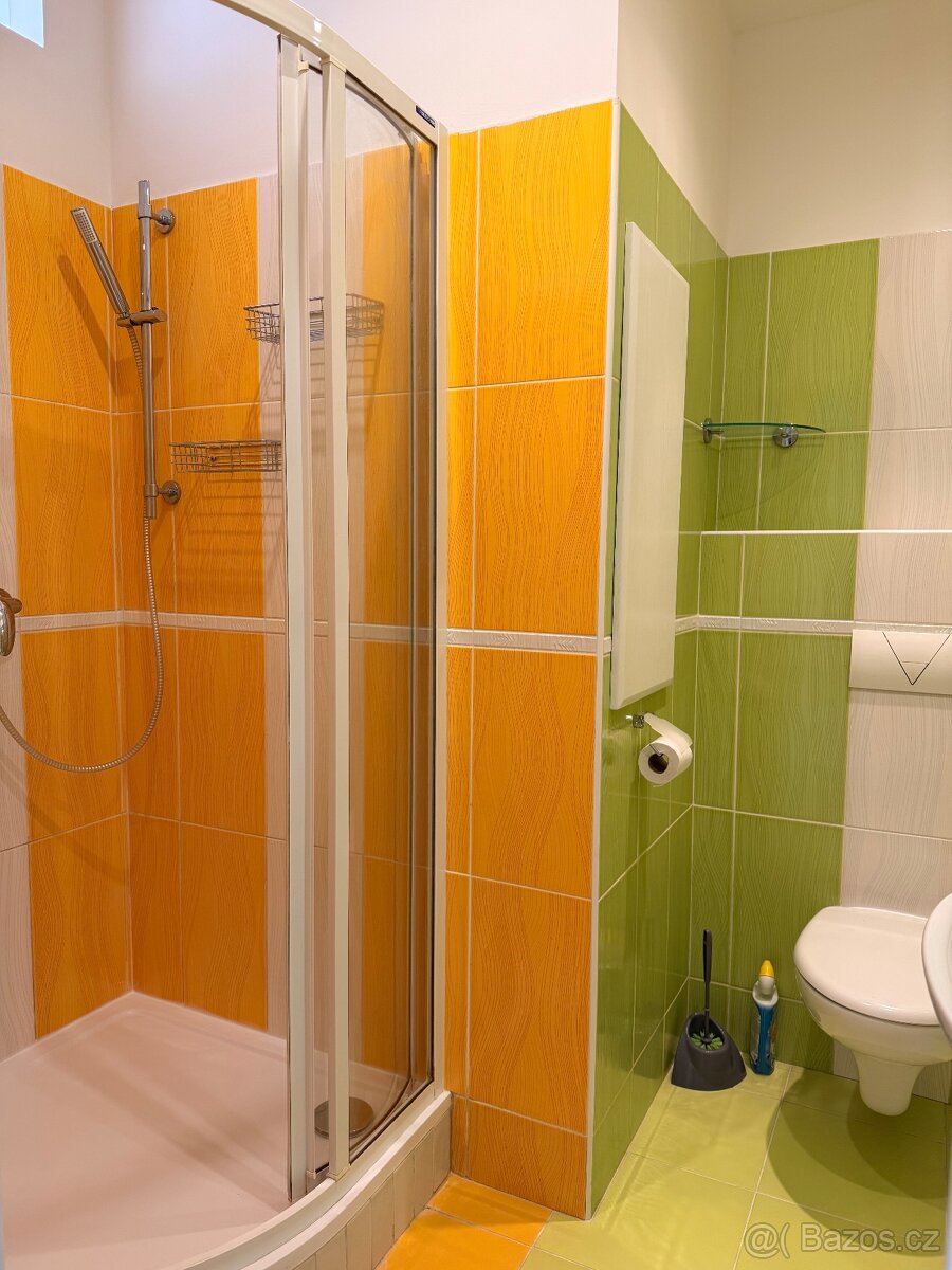 Pronájem bytu 1+1 36 m² Bratří Čapků, Svitavy - 7