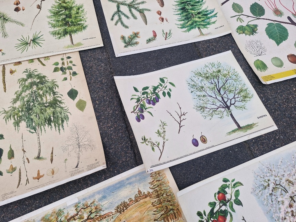 Stare skolni plakaty 50/60 leta - 7