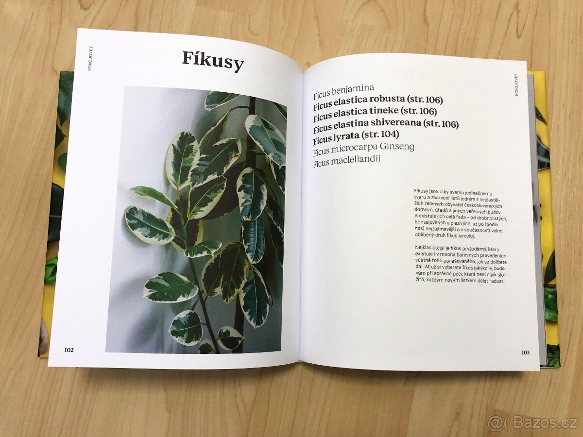 Kniha: Pokojovky a jak se o ně starat - podepsána od autorek - 7