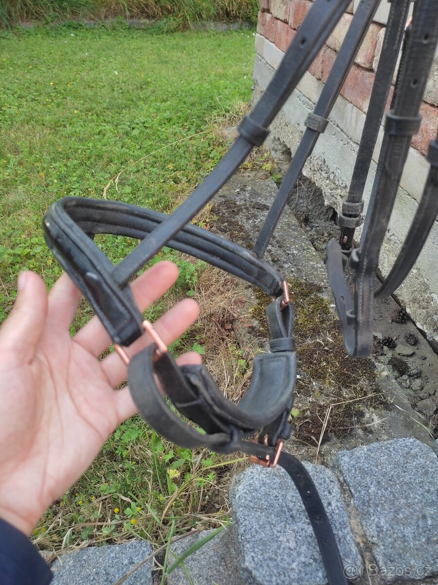 Rosegold uzdečka s lakovaným nánosníkem - 7