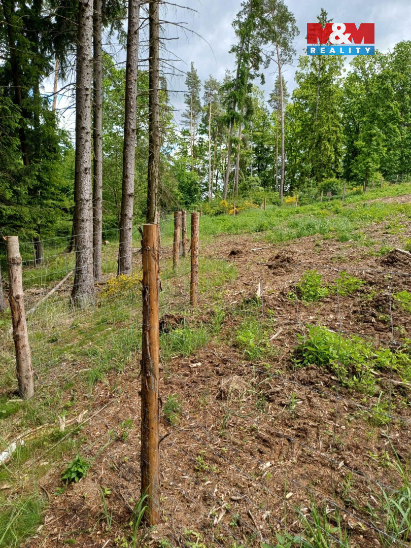 Prodej lesa, 9634 m², Hrazany - 7