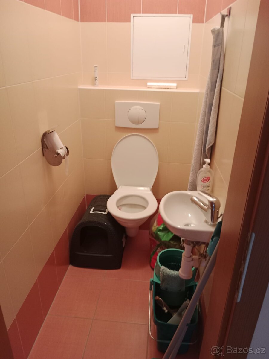 Pronajmu byt 2kk v Plzni - 7