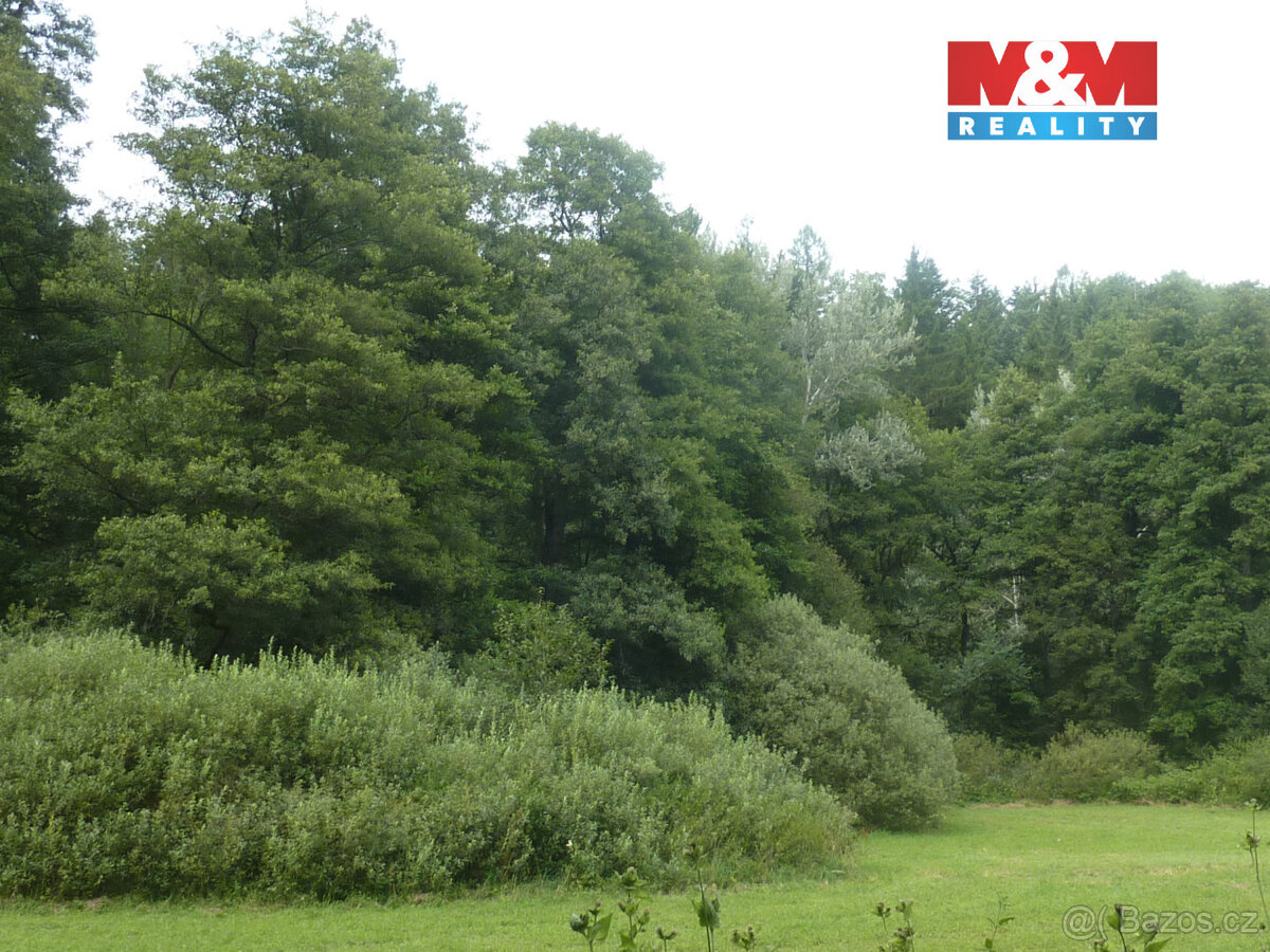 Prodej lesa, 26000 m², Vysoká Srbská, okres Náchod - 7