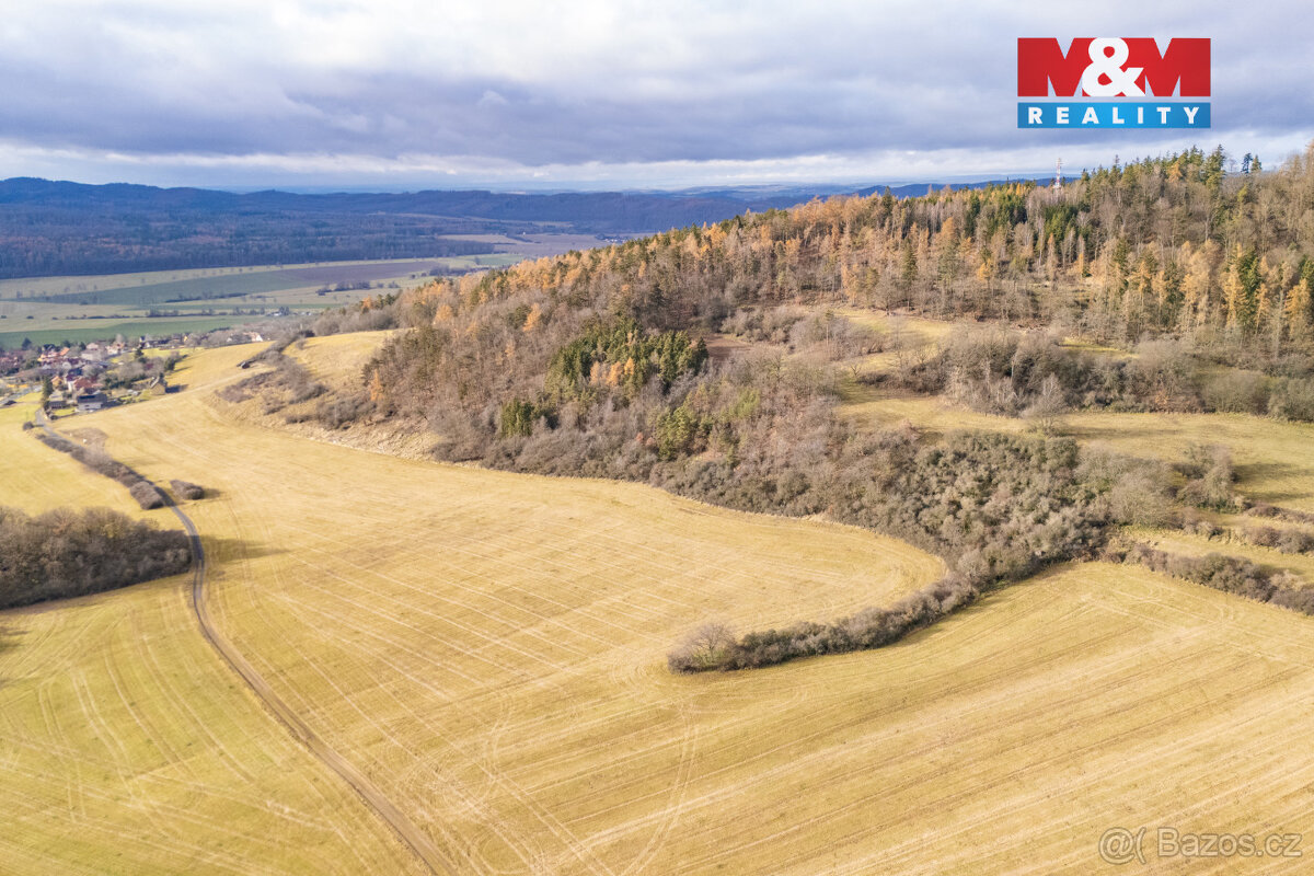 Prodej louky, 13853 m², Kublov - 7