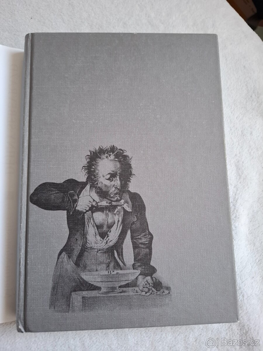 Dějiny sebevražd - Martin Monestier - 7