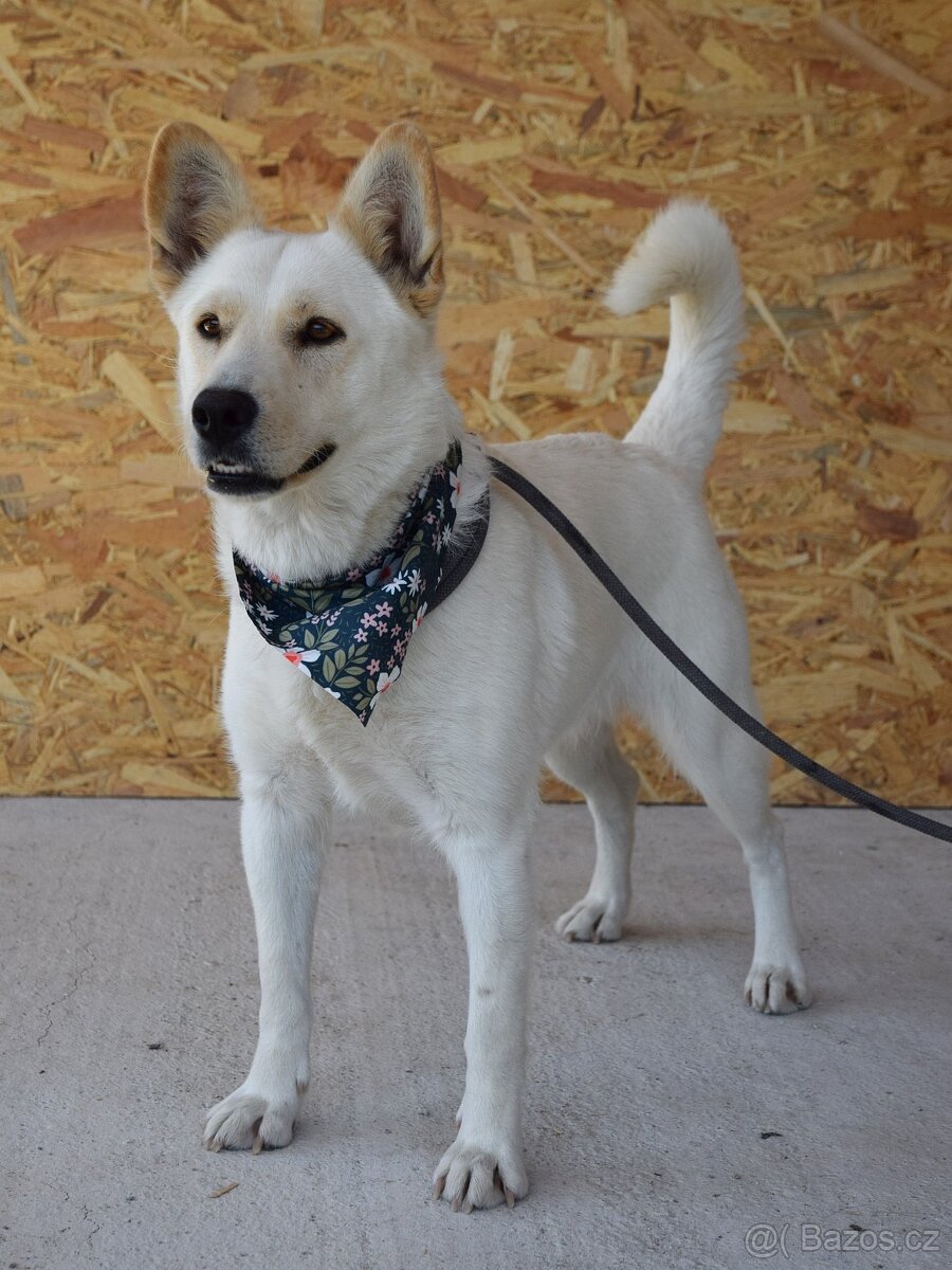 🌸 Zaira – veselá parťačka do života 🌸 - 7