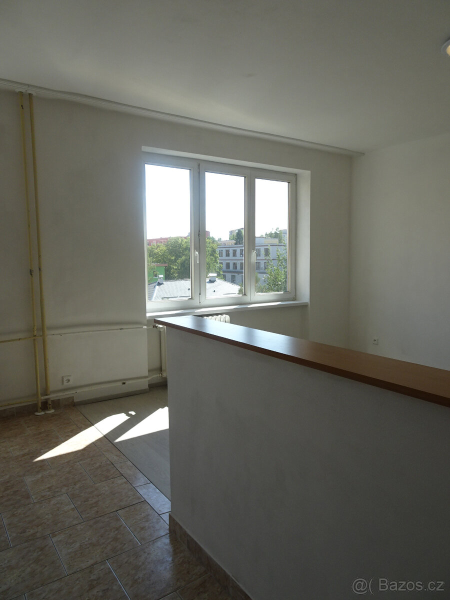 Pronájem slunného bytu 2+1 - 7