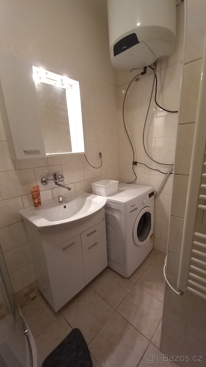 Pronájem bytu 2 + 1 - 7