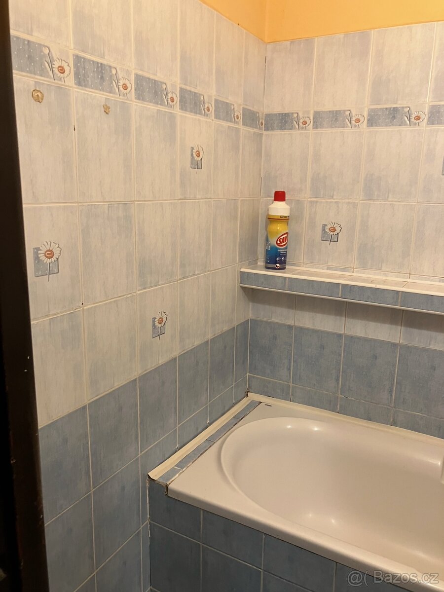 Prodej bytu 2+1, Chodov, Osadní - 7