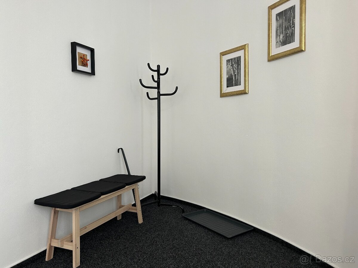 Pronájem bytu 2+kk 62 m² Březnice s terasou - 7