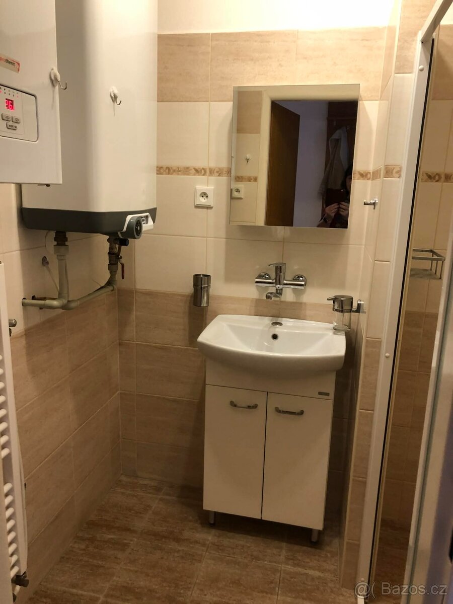 Pronájem bytu 3+kk Počátky u Chotěboře - 7