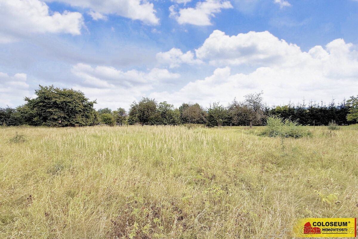 Sebranice - zahrada, příjezdová asfaltová komunikace, oploce - 7