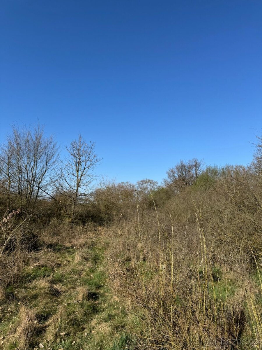 Prodám pozemky v katastrálním území Jevišovice - 7