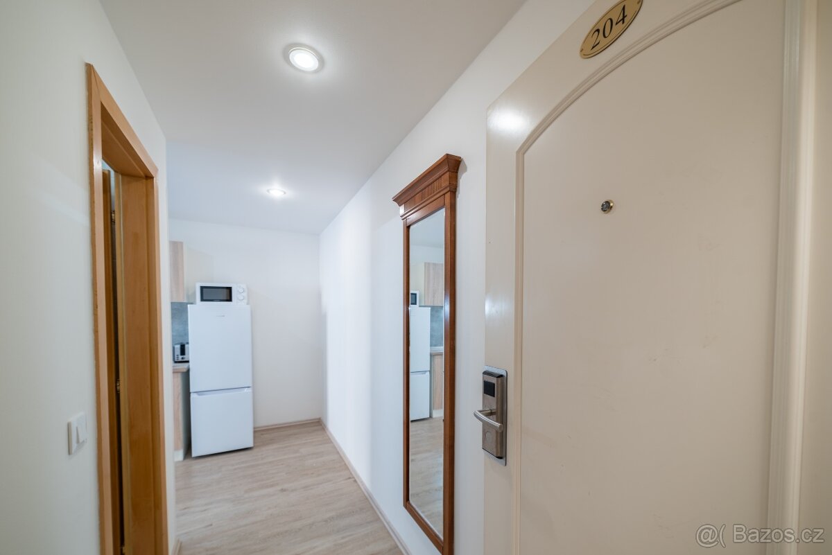 Pronájem — stylový byt 1kk pro pár ve Vinohradech - 7