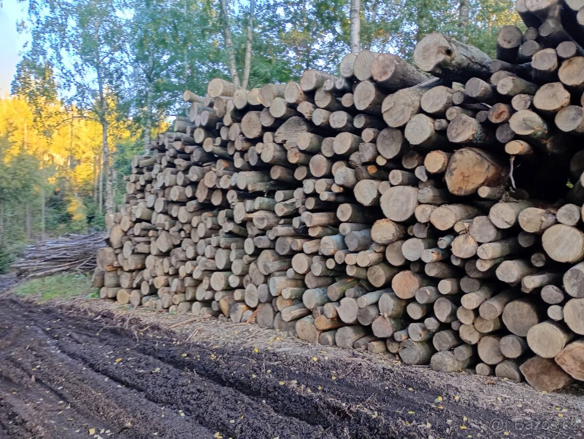 Palivové dřevo - 7