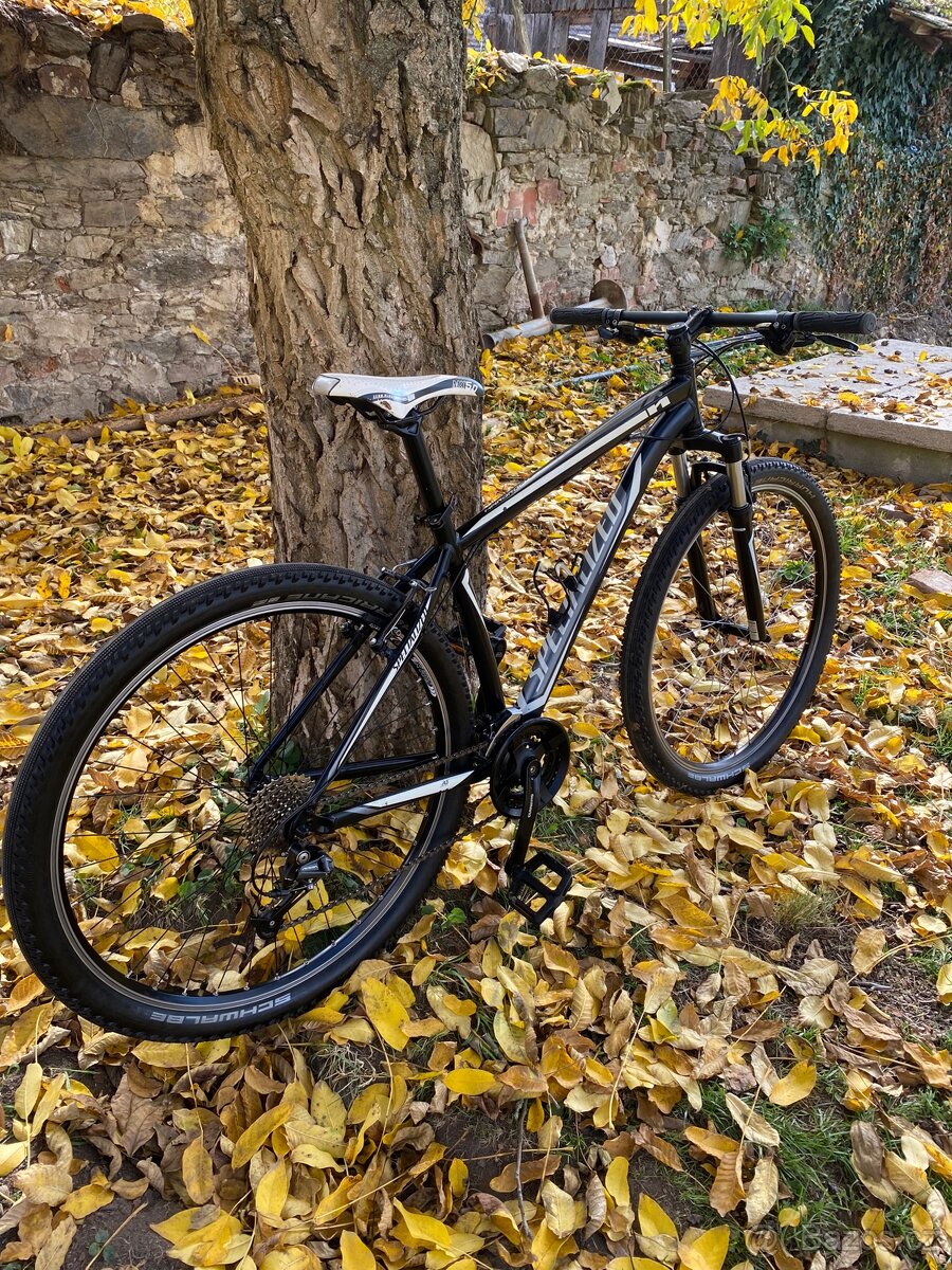 Kolo Specialized 29 - 7