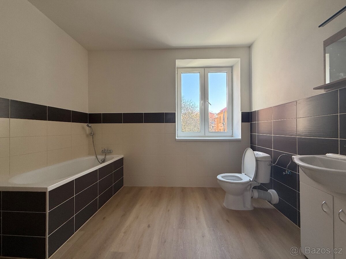 Pronájem bytu 2+1 - 7