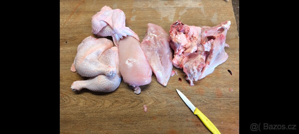 Kuřata kuřecí maso brojler - 7