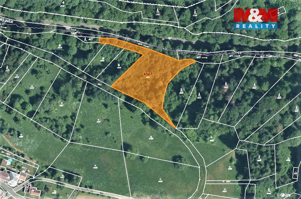 Prodej lesa, 3547 m², Koberovy - 7