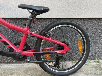 Scott Contessa 20 - 7
