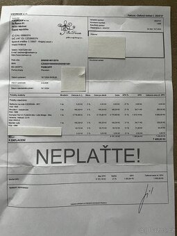 Brusle Jackson Elle vel.3,5; krasobrusle - 7