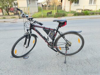 KELLY’S PHANATIC 21” - 7