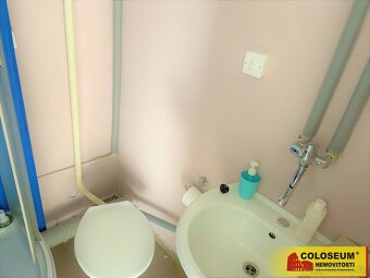 Rousínov, pronájem komerčních prostor, obchod, výroba 65m2 - - 7