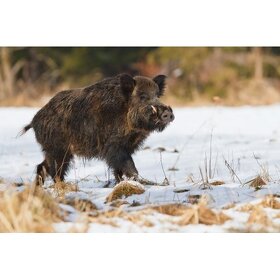 Trezor na 5 zbraní s hunter dekorem - 7