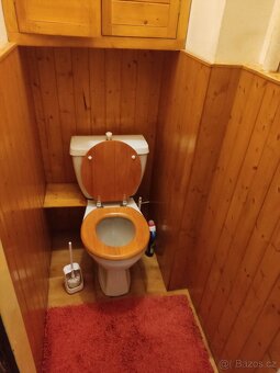 Pronájem pokoje u I.P.Pavlova - 7