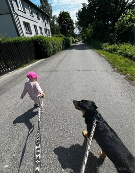 DARUJEME PEJSKA DO ZODPOVĚDNÝCH RUKOU - 7