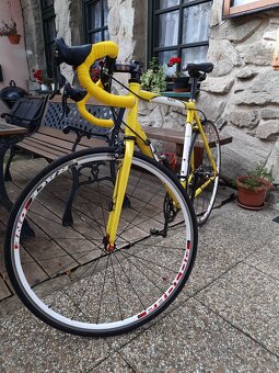 Prodám silniční kolo Fort - sleva - 7