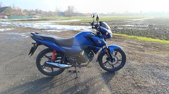 Honda cbf 125 2024 - 7
