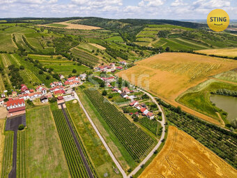 Pozemek pro vinný sklep s ubytováním a  s vinicí,  B, 132041 - 7