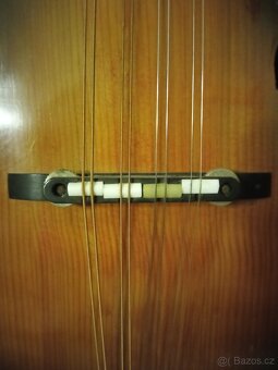 Mandolína Furch - 7