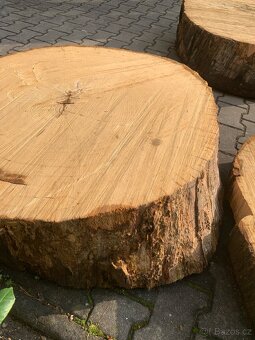 Dubová kruhová deska, příčný řez, průměr 100cm - 7