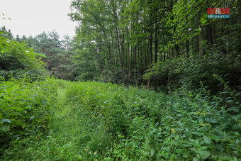 Prodej pole, 11043 m², Svárov - 7