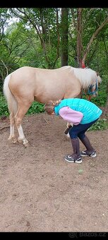 Pony kobylka - 7
