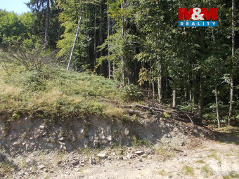 Prodej chaty, 36 m², Pstruží - 7