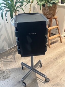 Kadeřnický vozík Wella Boy - 7