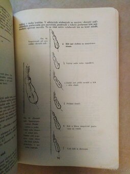 Jezdec a kůň - Bruno Jaksch (1937) - 7