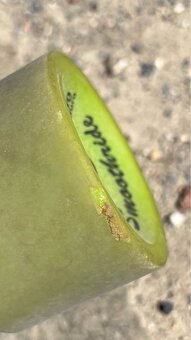 Longboard Madrid - 7