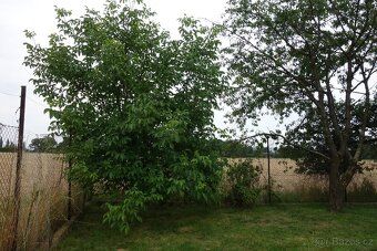 Zahrada - polosamota - 7