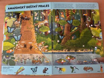 Kniha Mapy a Svět divičiny - 7