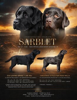 Labradorský retrívr-černá štěňátka s PP - 7