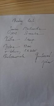 Reborn miminko - 7