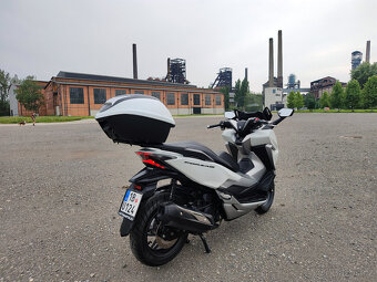 Honda Forza 300, původ ČR, perfektní stav - 7