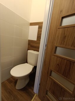 Pronájem, Byt 2+1 s balkónem, Jince - 7