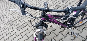 Dámské a pánské kolo - 7