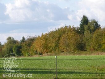 Rodinný dům se zahradou, Chotěboř, okr. Havlíčkův Brod - 7