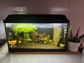 Akvárium INVITAL 60L. S rybičkama a filtrem Oase Bioplus 100 - 7